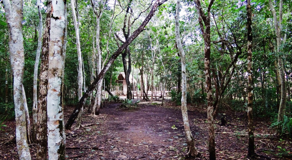 Foto: Zona Arqueológica de Cobá - Cobá (Quintana Roo), México