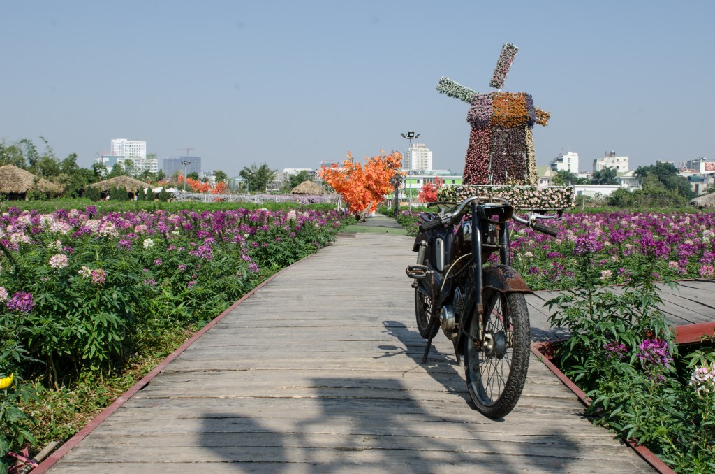 Foto: Jardin de Flores - Hanoi (Ha Nội), Vietnam