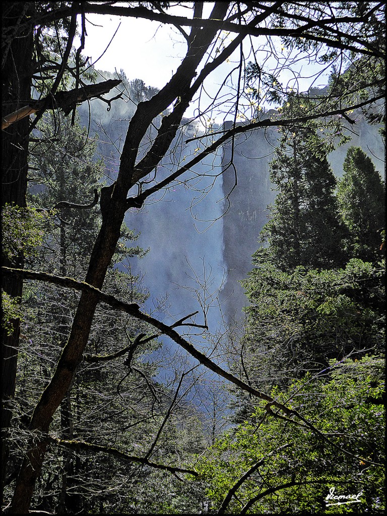 Foto: 160421-011 YOSEMITE - Yosemite (California), Estados Unidos