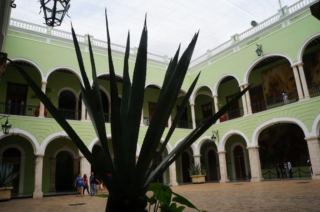 Foto: Henequen, Edificiode la Secretaria de Turismo - Merida (Yucatán), México