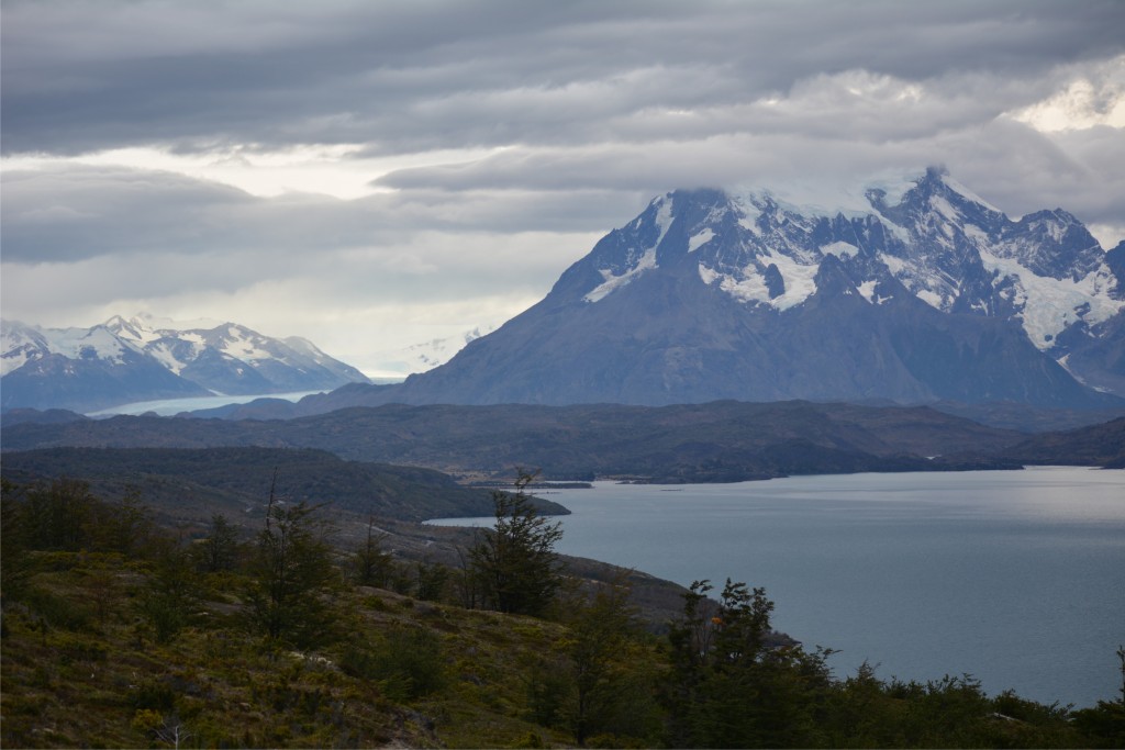 Foto de Puerto Natales (Magallanes y Antártica Chilena), Chile