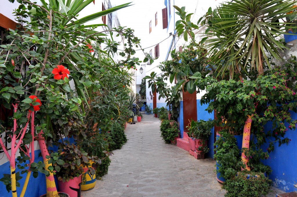 Foto: Jardines particulares - Larache (Tanger-Tétouan), Marruecos