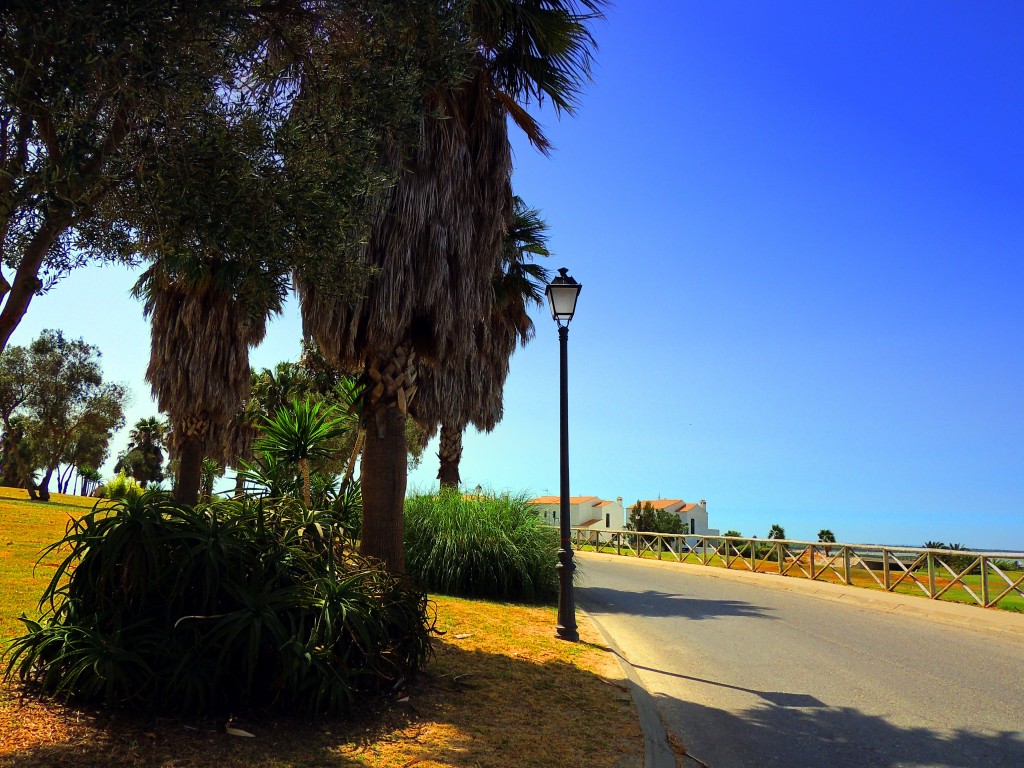 Foto: Avenida Principe Alfonso - Sanlucar de Barrameda (Cádiz), España