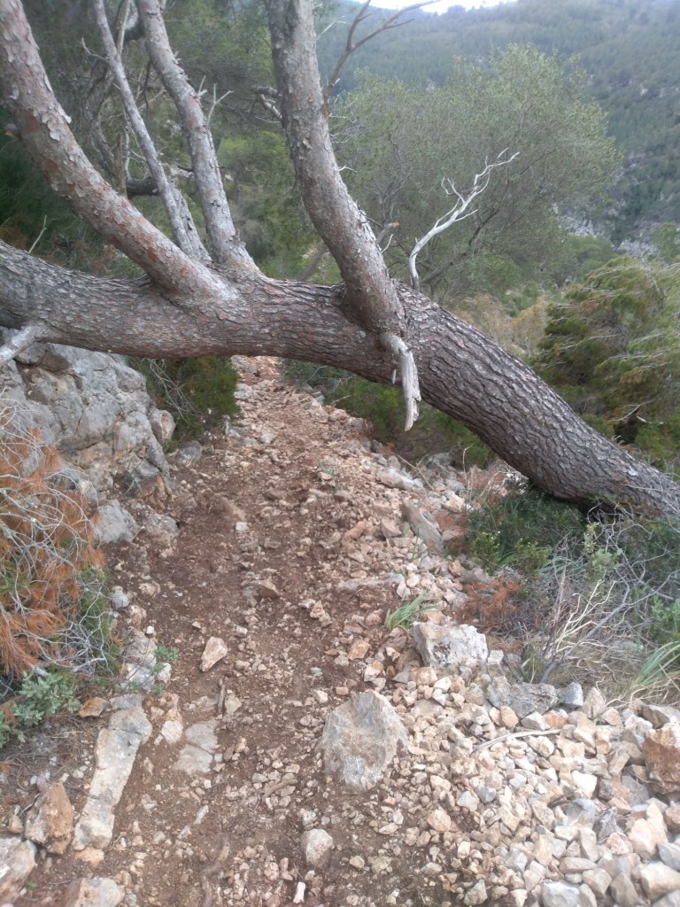 Foto: Camino a la cueva de mármol - Calviá (Illes Balears), España