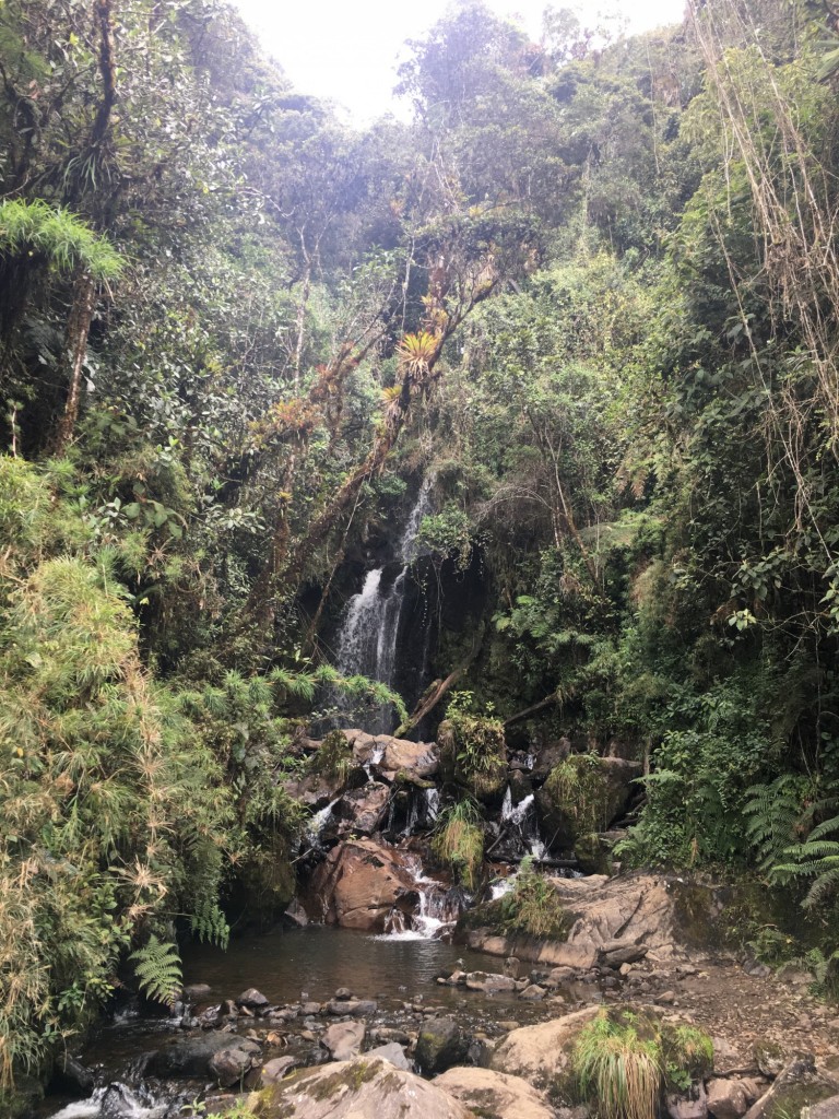 Foto de La Cocha (Nariño), Colombia