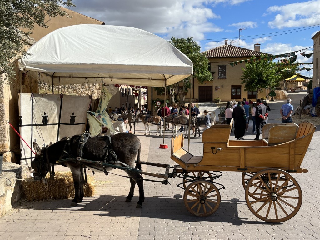 Foto: paseo burro - San Esteban de Gormaz (Soria), España