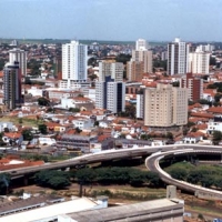 Foto de Americana