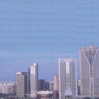 Foto de Pinheiros