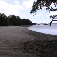 Foto de Isla Venado