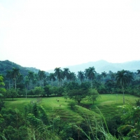 Foto de Viñales