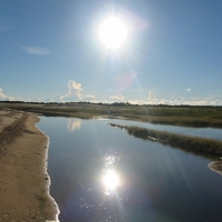 Foto de Apure (llanos)