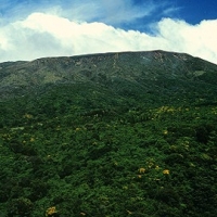 Foto de Volcan Santa Ana