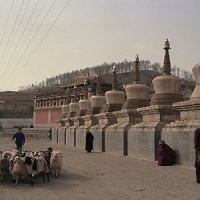 Foto de Xining