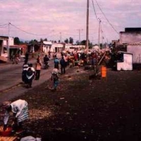 Foto de Goma