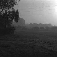 Foto de Calcutta