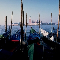 Foto de Venice