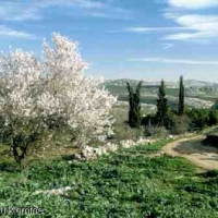 Foto de Irbid