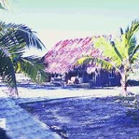 Foto de Christmas