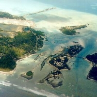 Foto de Tanaea