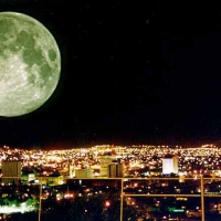 Foto de Chihuahua