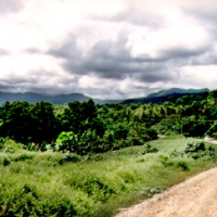 Foto de Pohnpei