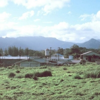 Foto de Kolonia