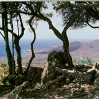 Foto de Curacao
