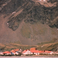 Foto de Grytviken