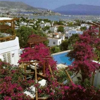 Foto de Bodrum