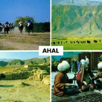 Foto de Ahal