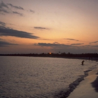 Foto de Bahia Kino Sonora