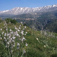Foto de Bsharri
