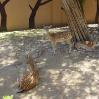 Foto de Jerez de la Frontera