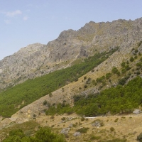 Foto de Serranía de Cádiz