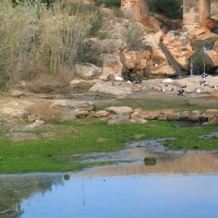 Foto de Ibiza