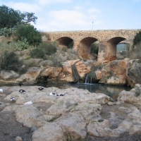 Foto de Ibiza