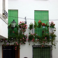 Foto de Priego de Córdoba
