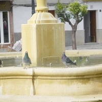 Foto de Sanlúcar de Barrameda