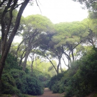 Foto de Puerto Real