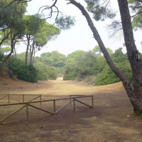 Foto de Puerto Real