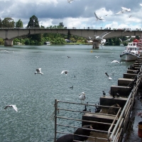 Foto de Valdivia