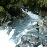 Foto de PUYEHUE