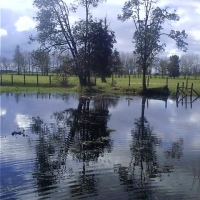 Foto de Puyehue