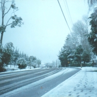 Foto de Entre Lagos - Puyehue