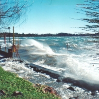 Foto de Entre Lagos - Puyehue