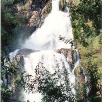 Foto de Puyehue