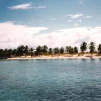 Foto de Isla Catalina