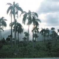 Foto de Puerto Plata