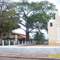 Foto de carora