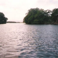 Foto de Margarita